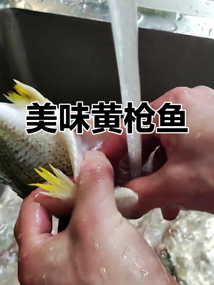 黄枪鱼清蒸,鲜嫩可口,营养满分!