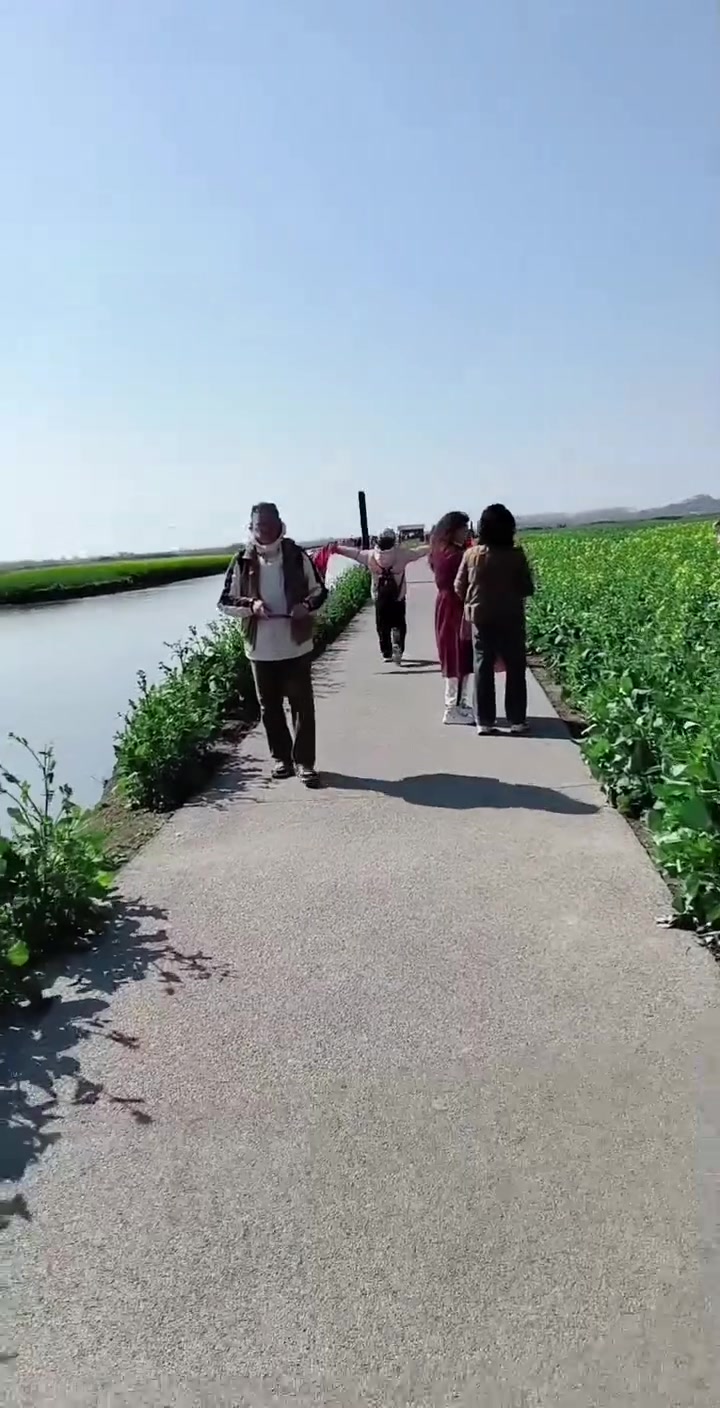 江苏泰州兴化千垛油菜花景区！