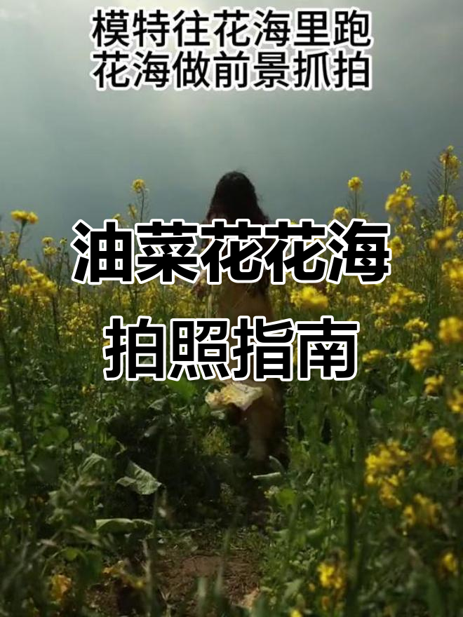 油菜花拍照技巧大公开,春天拍摄必备姿势