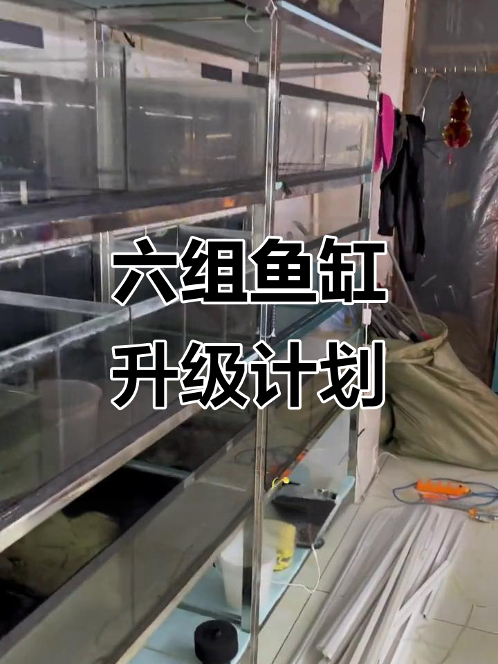 鱼缸改造大作战,不锈钢架子和墙台全新设计