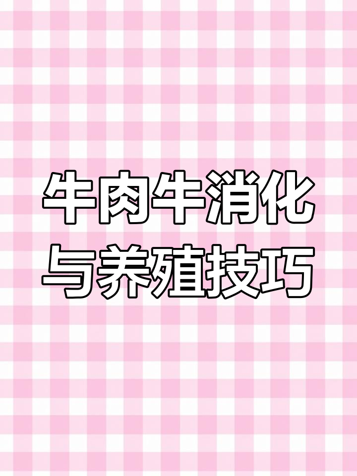 了解牛的消化系统,优化肉牛养殖管理
