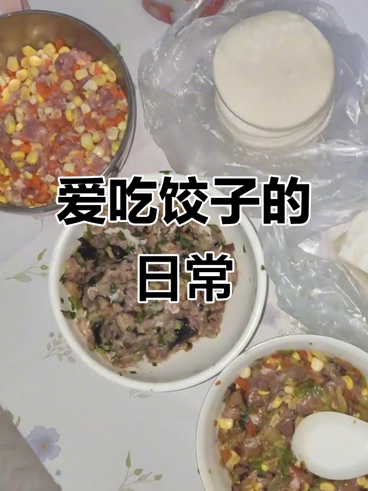 日常饺子控,爱吃饺子的真实生活分享