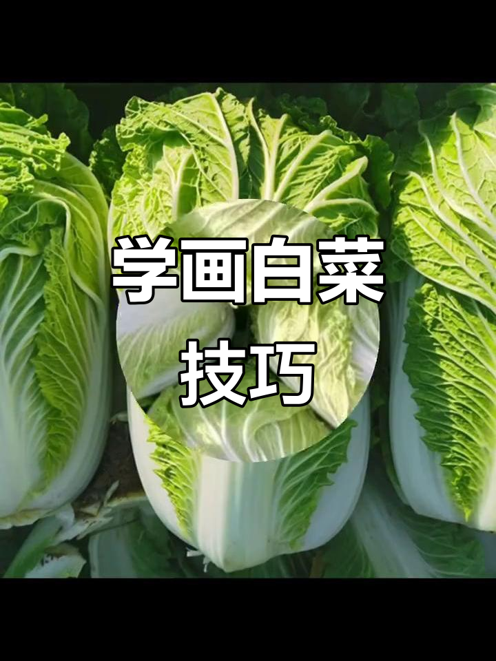 齐白石白菜画法揭秘，步骤详解轻松学会