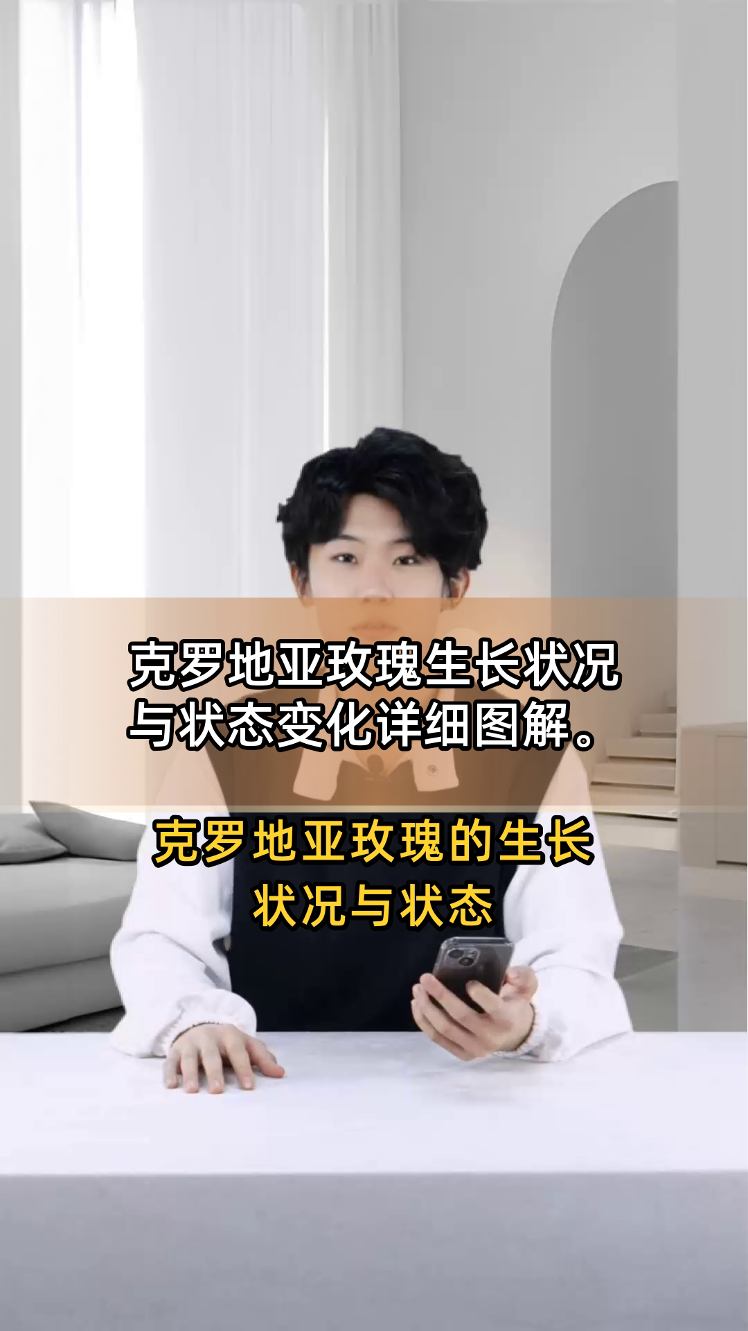 克罗地亚玫瑰生长状况与状态变化详细图解