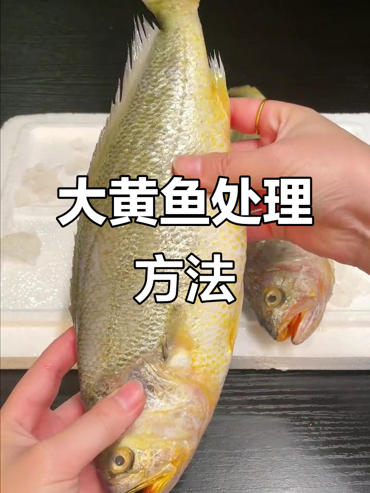 冰鲜大黄鱼处理技巧,轻松去鳞内脏全搞定