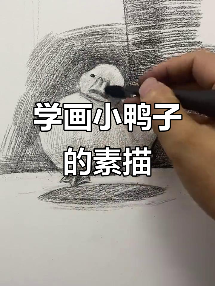 轻松学画可爱小鸭子,素描教程来啦!