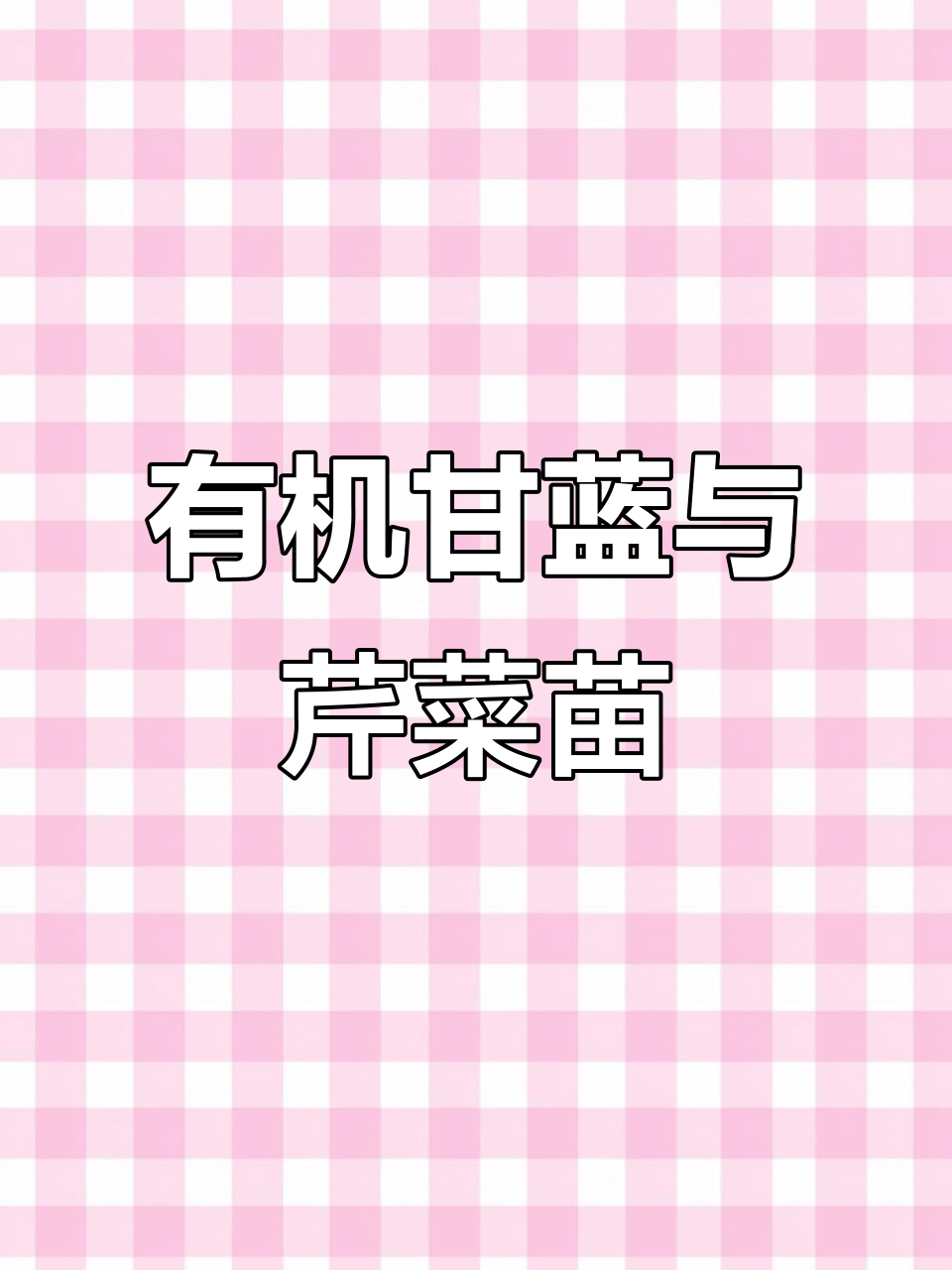 河北秦皇岛等地有机花苗出炉,陆地芹菜同步安排