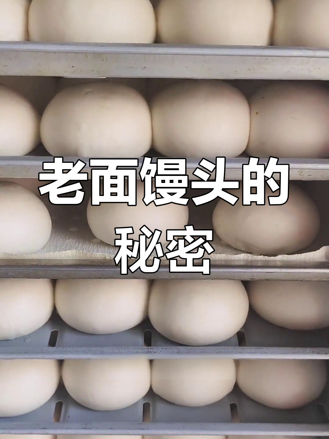 25斤老面,65斤面粉,经典馒头配方大公开!