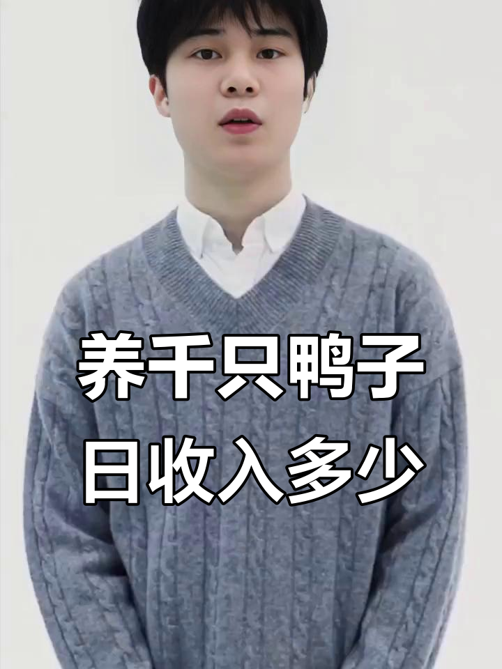 养殖1000只蛋鸭,每天能赚多少钱?成本与利润分析