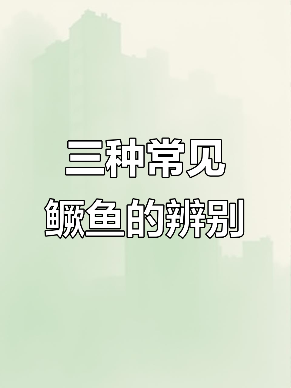 这三种鳜鱼,你能分清吗?