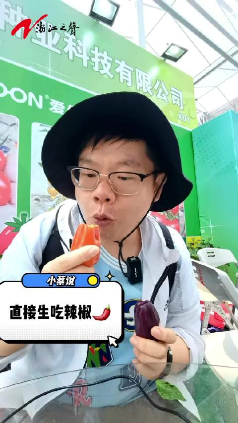 「生吃水果辣椒是什么体验」2024浙江瓜菜新品种大会今天在杭州举行,来自全国的4200个瓜