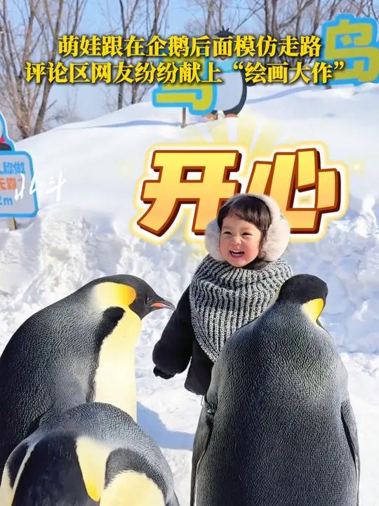 2月5日,辽宁沈阳。萌娃跟在企鹅后面模仿走路 评论区网友纷纷献上“绘画大作”
