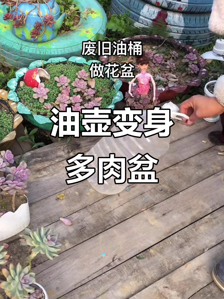 多肉泛滥,油壶变花盆,省钱又创意!