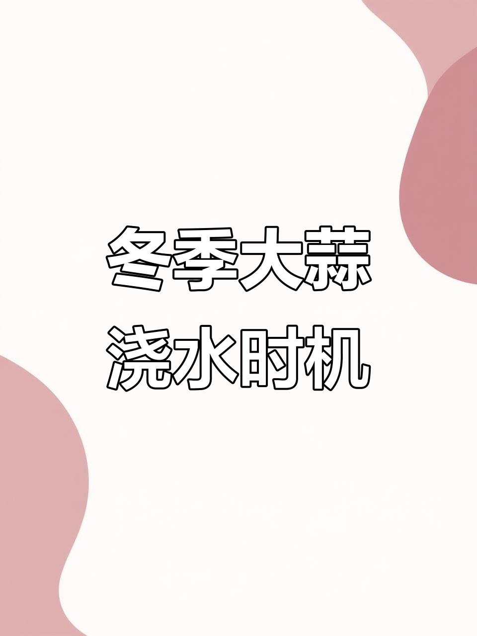 大蒜越冬水浇早了不行,晚了更糟!何时浇水最合适?