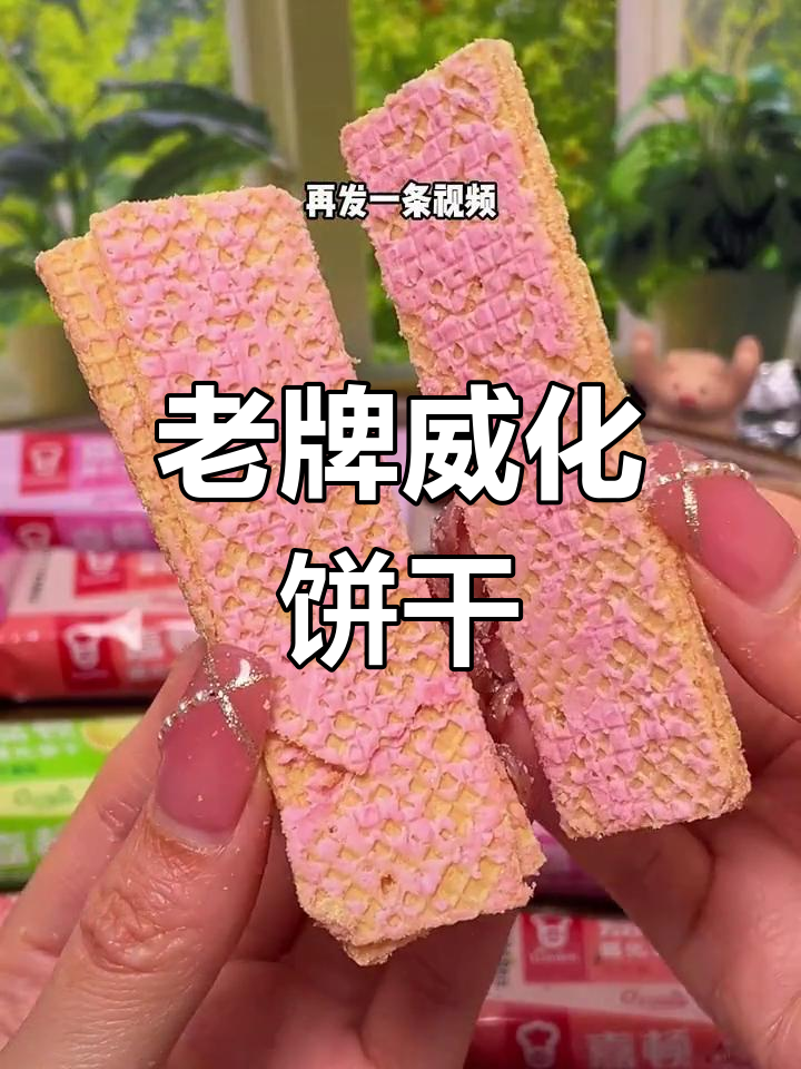 经典嘉顿威化饼干,酥脆外皮搭配浓郁夹心