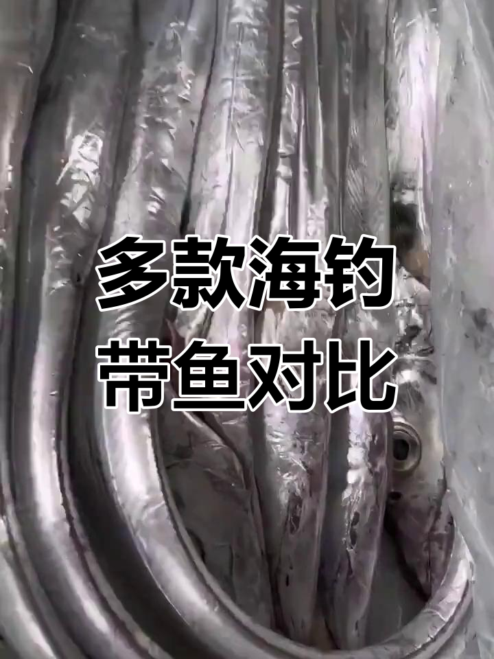 野生带鱼品种多样,价格、味道和模样全不同
