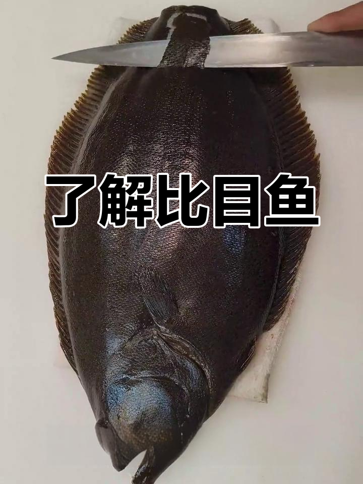 比目鱼的独特之处与美味