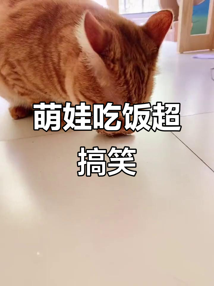 萌娃流口水吃冻干鸡脖子,太可爱了!