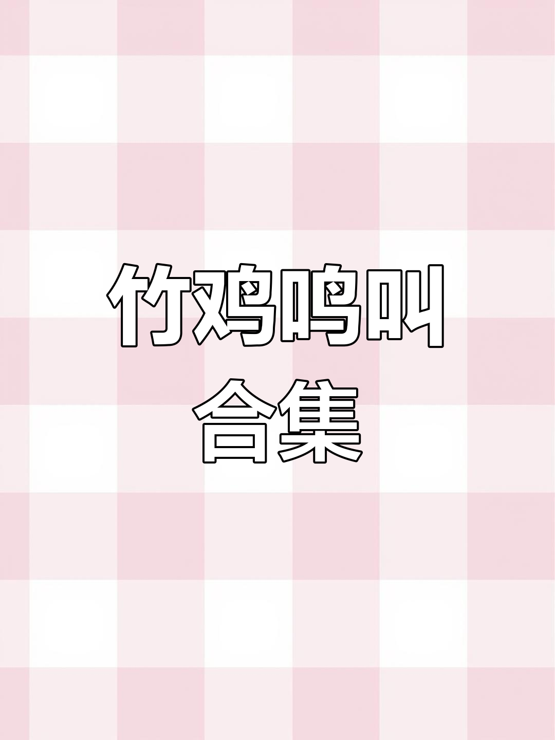 竹鸡群集结,鸟叫声大合奏