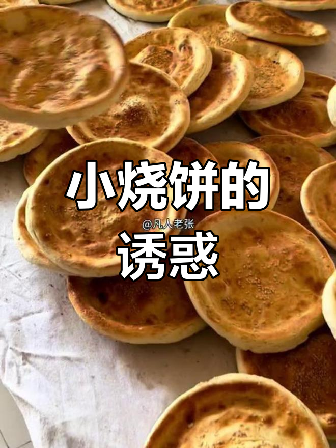 滕州小烧饼,炭火烤制,1元一个,热乎香脆停不下来!