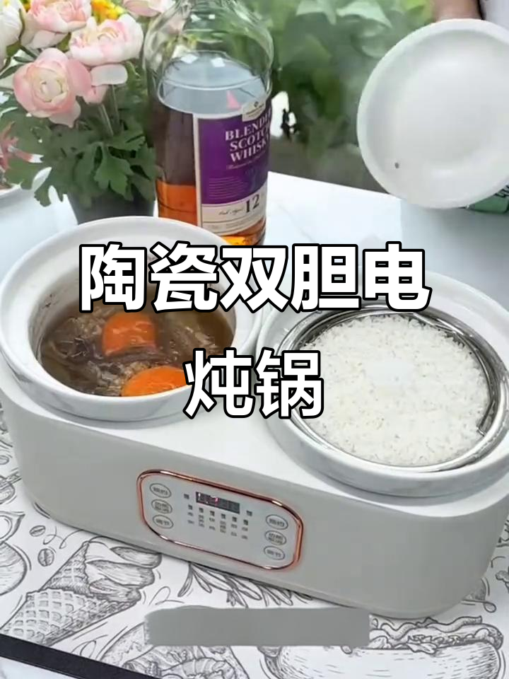 双胆电炖锅，一边煮饭一边煲汤，智能操作省心又美味