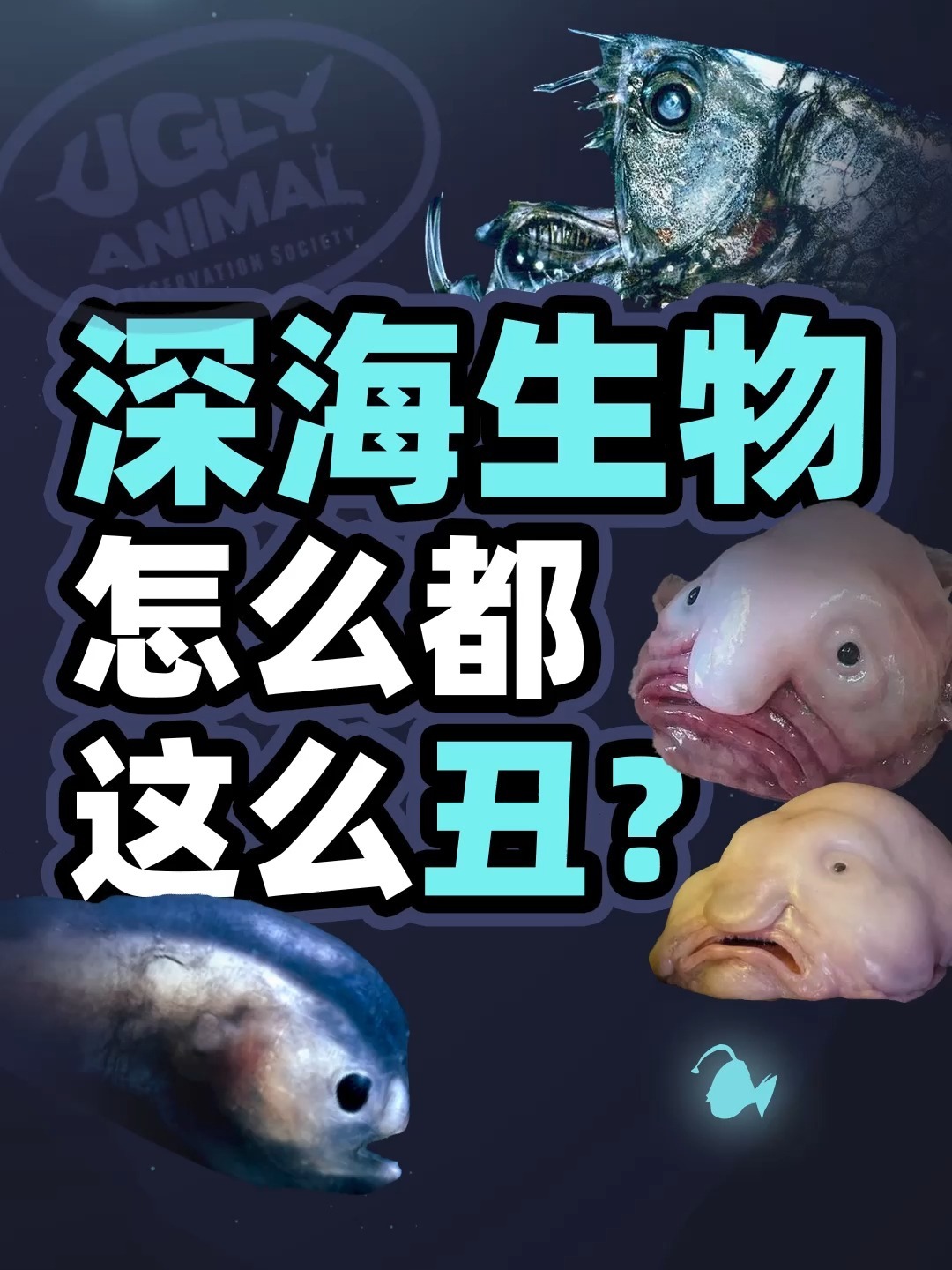 深海鱼怎么这么丑?还不都是为了活着!
