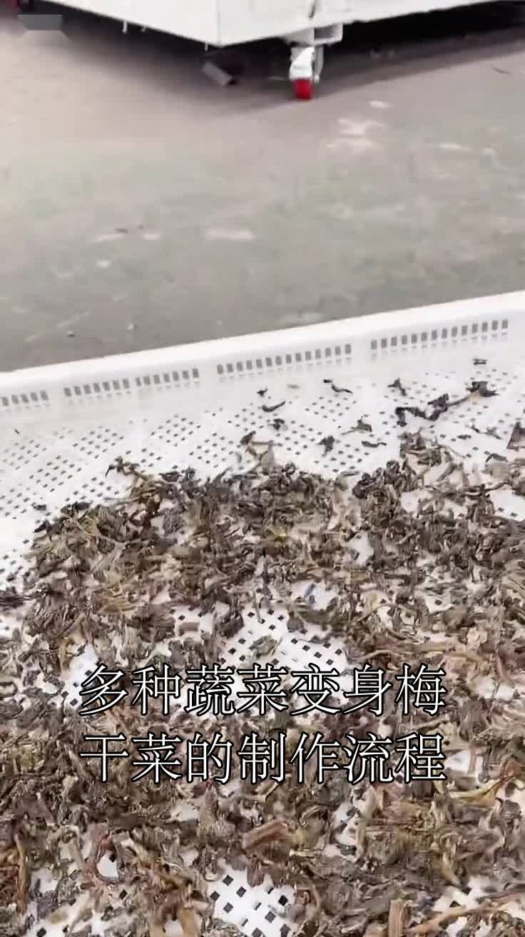 多种蔬菜变身梅干菜的制作流程