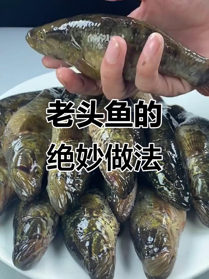 老头鱼这样做，鲜香十足！教你炖出完美口感