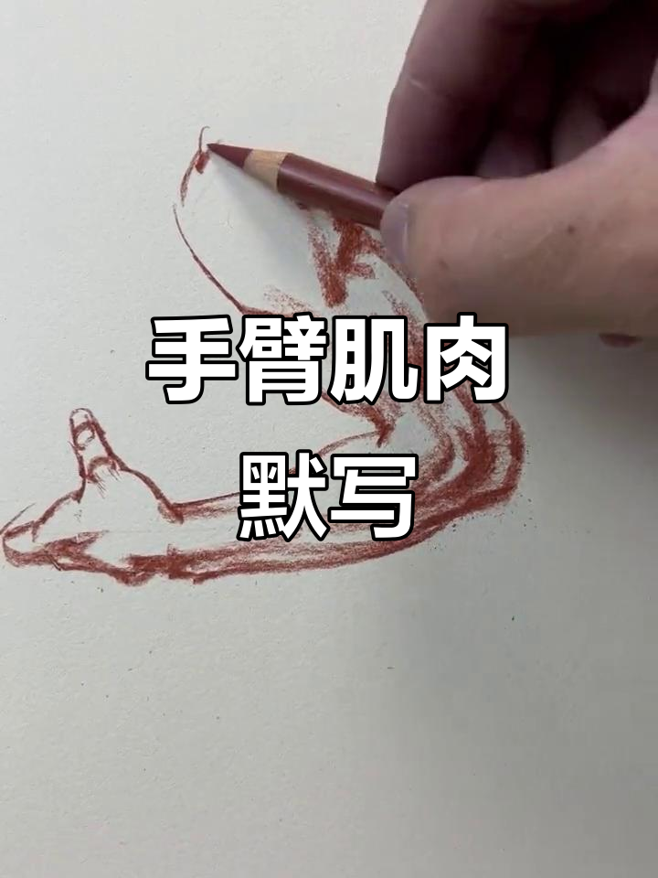 手臂肌肉默写挑战,美术生日常大揭秘