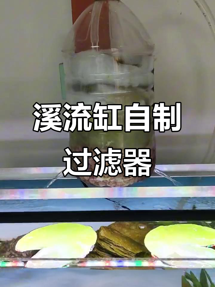 自制溪流缸过滤系统全解析,打造自然生态鱼缸