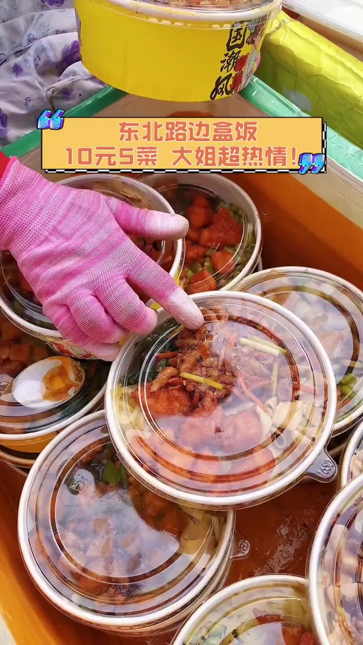 东北路边盒饭,10元5菜,大姐超热情!