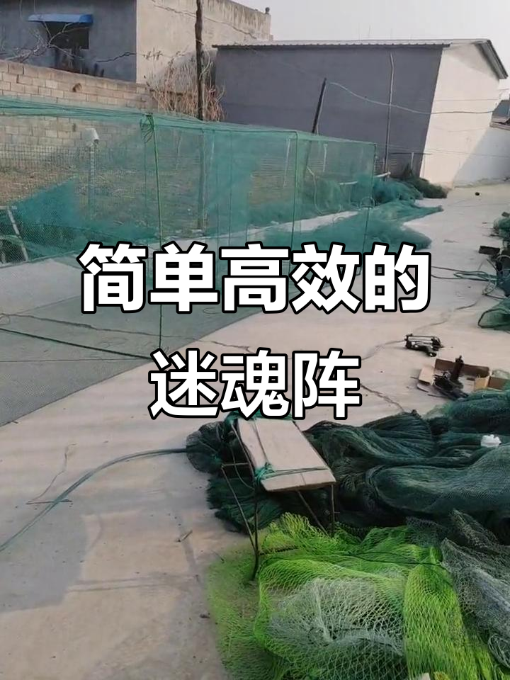 简易迷魂阵助力渔民高效捕鱼,刷公鱼的秘密武器