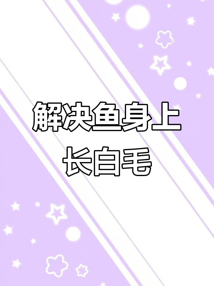 冬季鱼缸水霉问题?教你快速解决长白毛症状