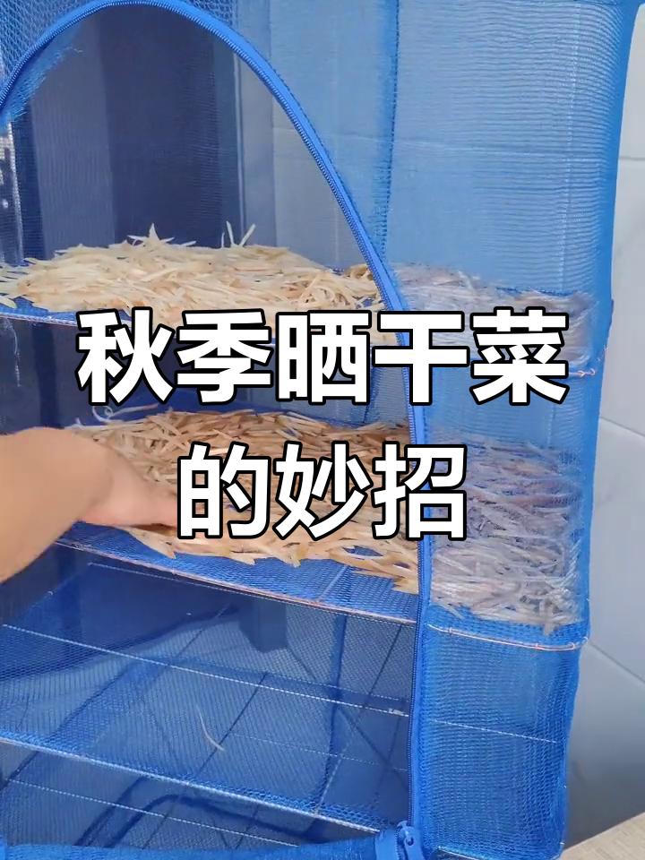 秋天晒干菜必备折叠晾晒网,芥菜丝轻松搞定
