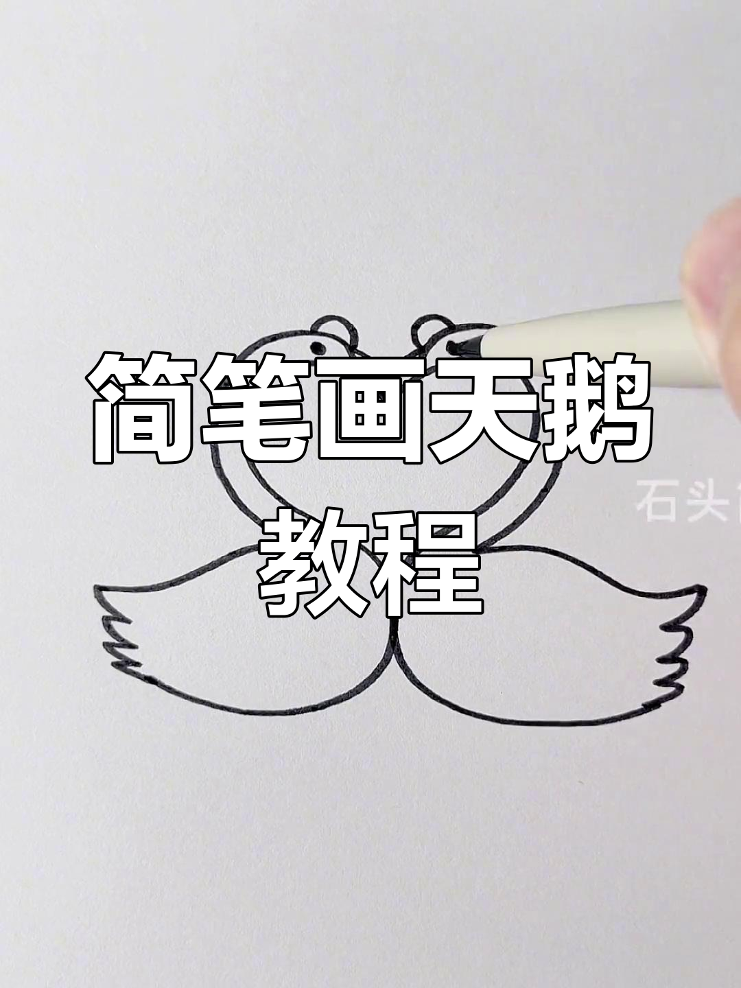 用简单步骤绘制白天鹅