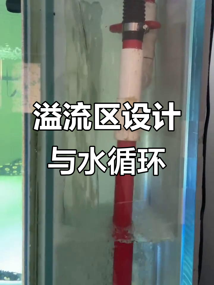 鱼缸溢流区设计解析：水位变化不影响循环，停电怎么办？