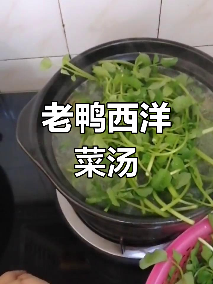 西洋菜炖老鸭汤,滋补又美味