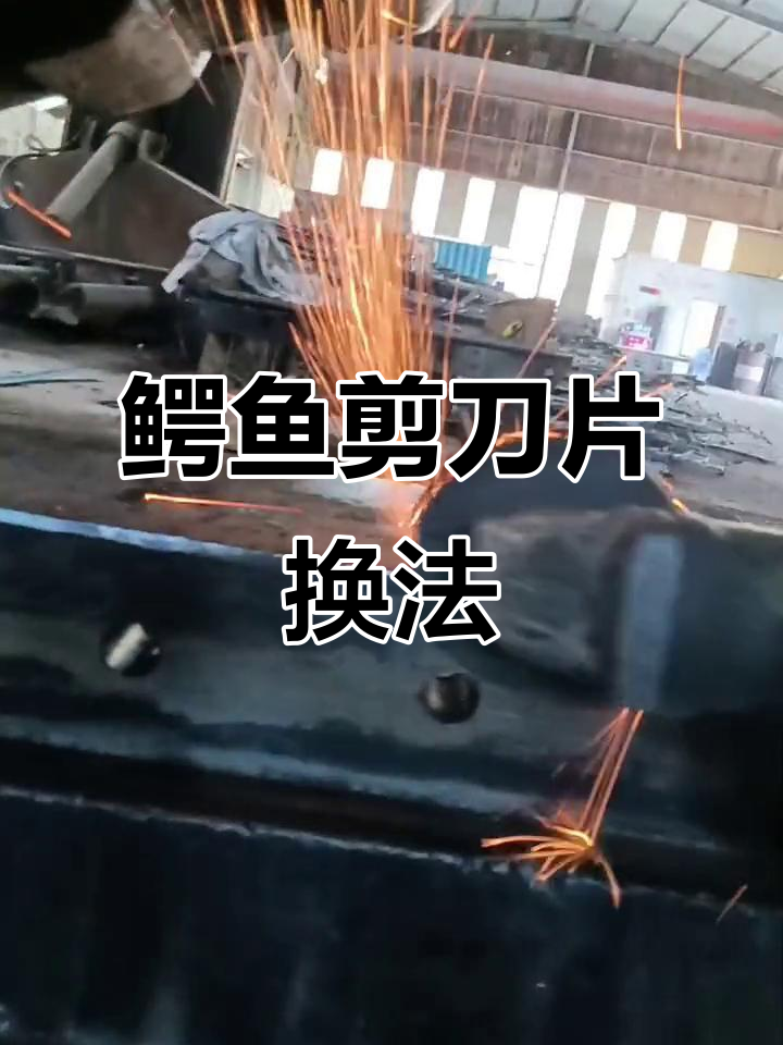 如何更换鳄鱼剪刀片?简单步骤教你搞定