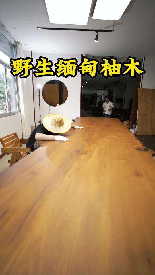 缅甸柚木能长多大?