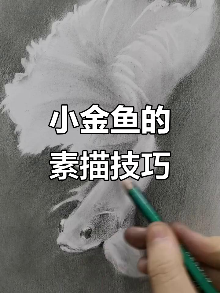 画可爱小金鱼，步骤超简单！