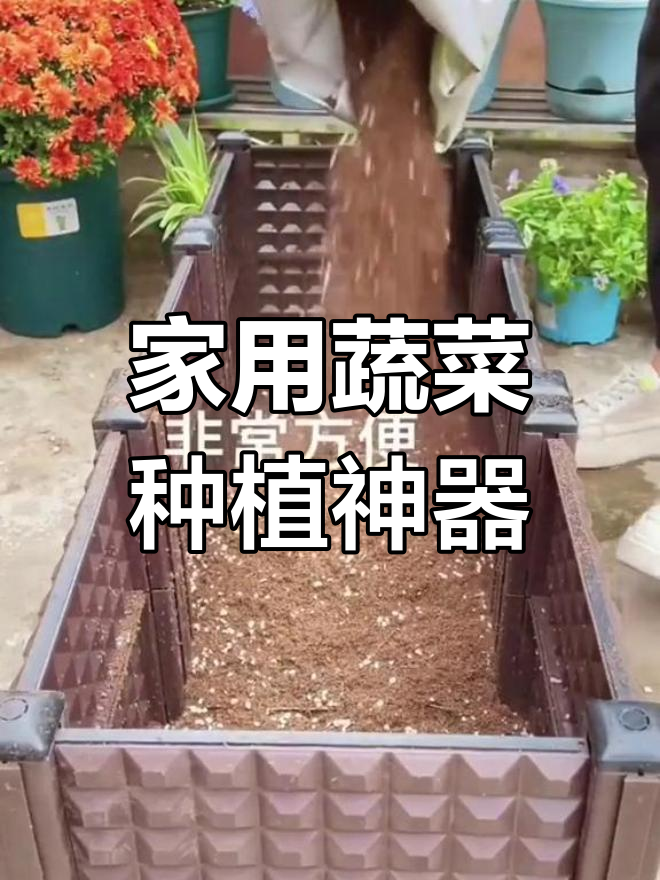 家庭阳台楼顶蔬菜种植箱,轻松打造绿色菜园