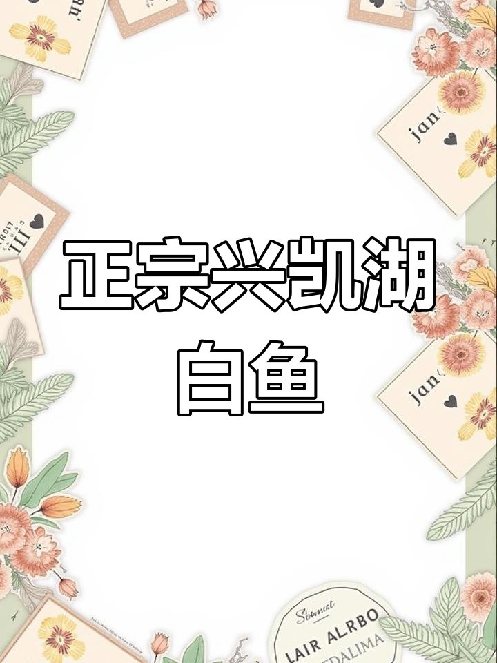 兴凯湖大白鱼,淡水珍品