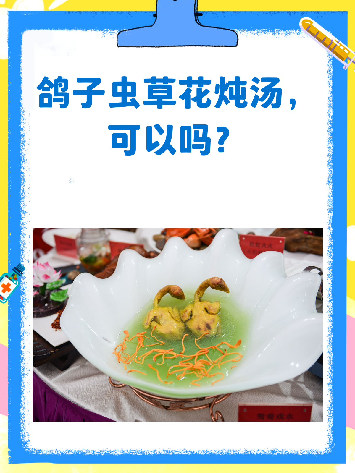 鸽子炖虫草花,美容养颜血气双补!