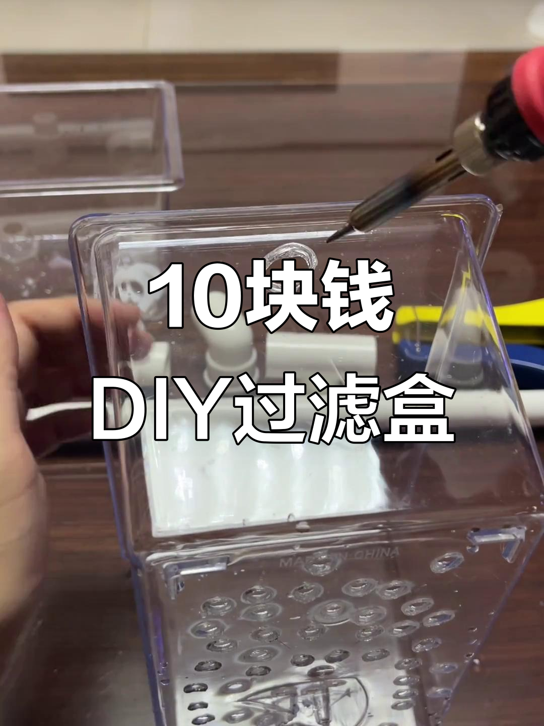 自制简易过滤盒,十元搞定雷龙鱼水质管理
