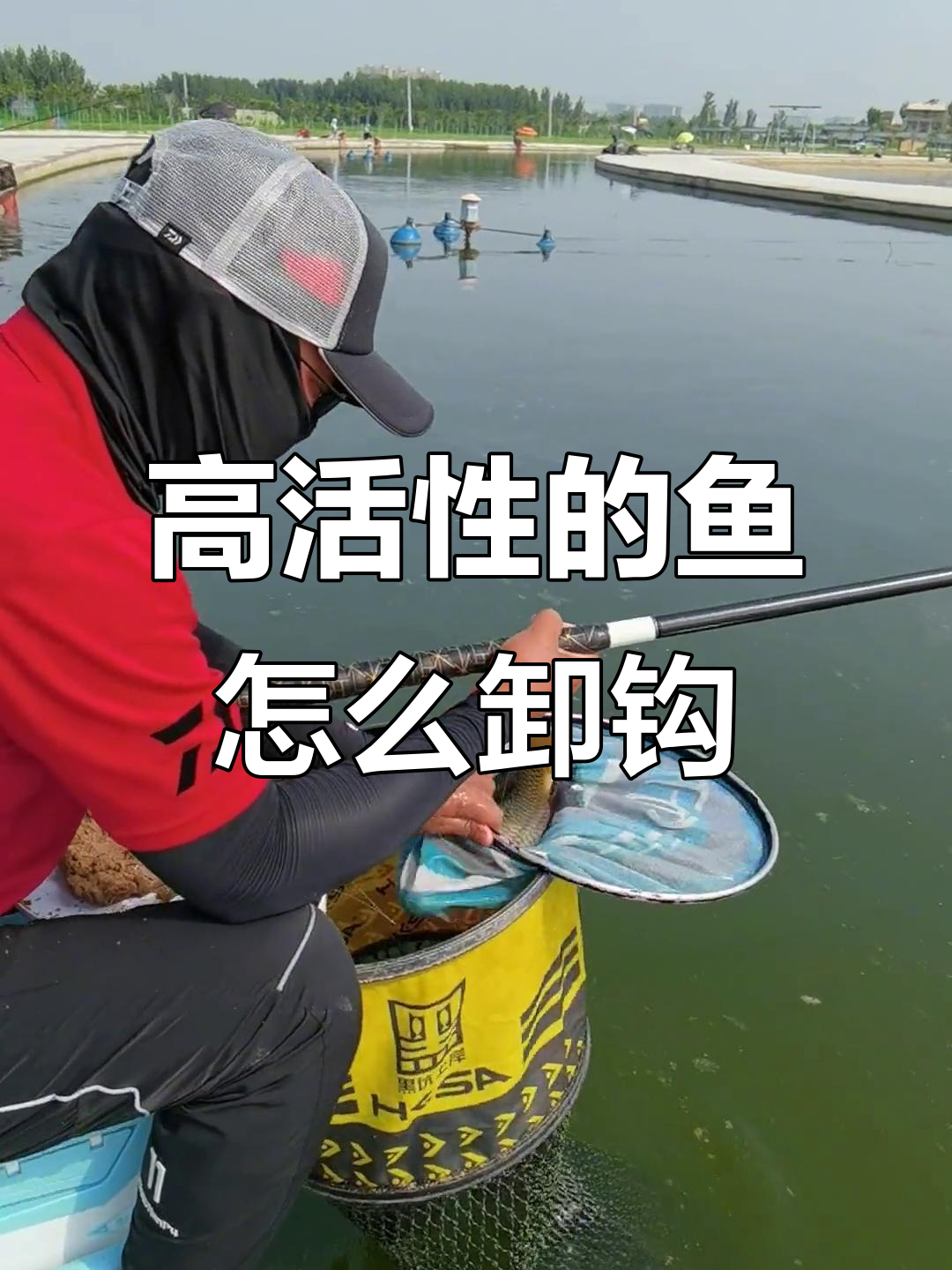 鱼活性太高,摘钩子竟然这么难!