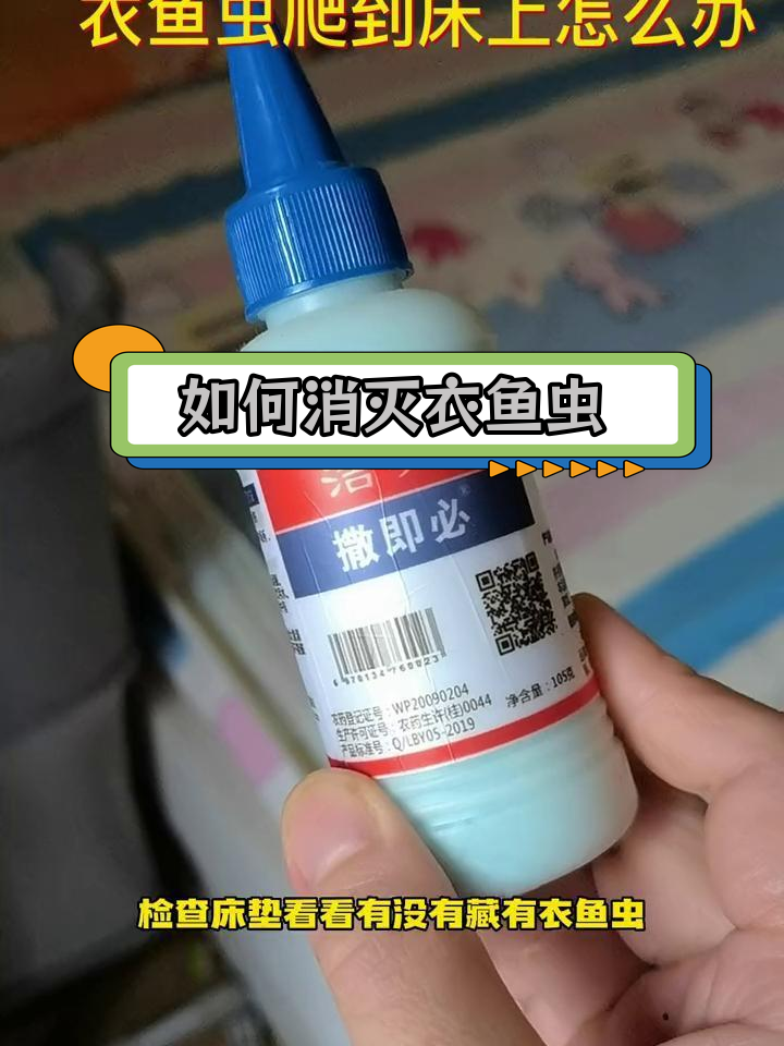 衣鱼虫爬床怎么办?有效灭虫技巧