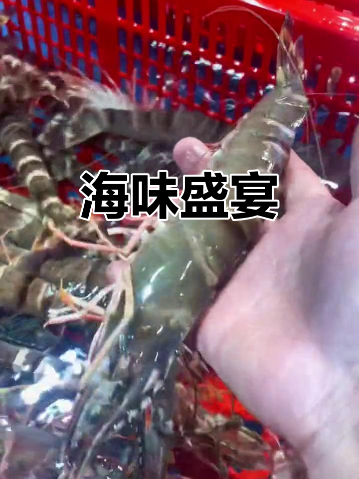 海鲜盛宴,黑虎虾、基围虾等鲜美大餐等你品尝!