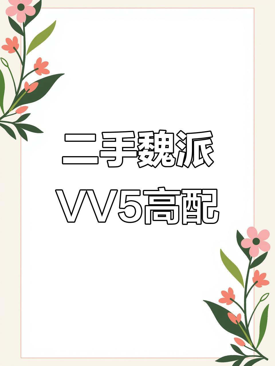 2019年魏派VV5高配二手车,经典黑色外观,自动挡完美回家