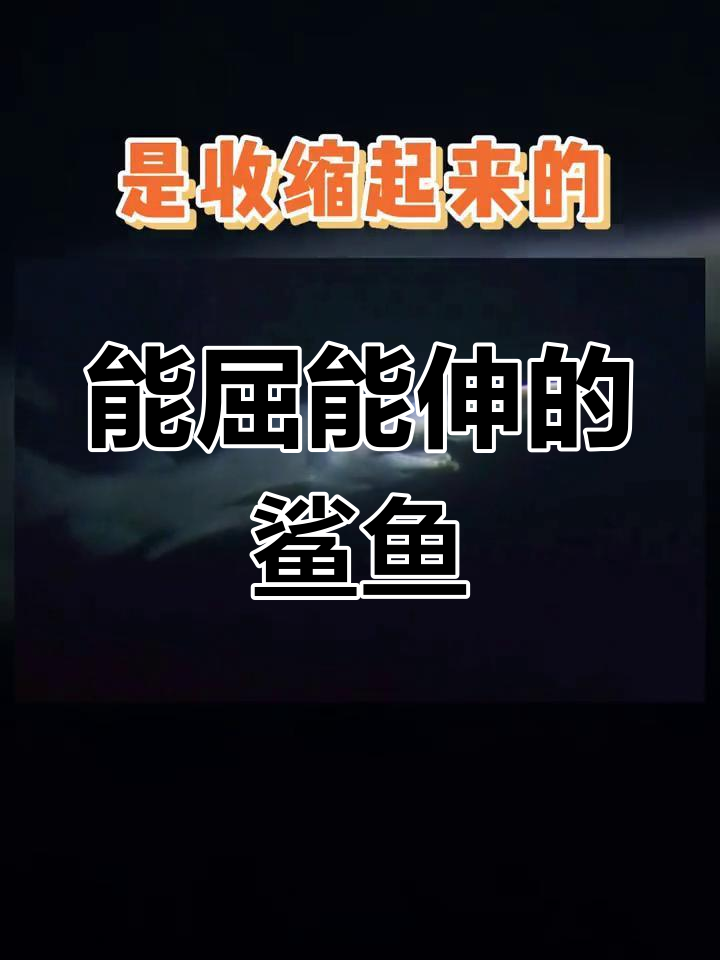 深海中的隐形捕食者:哥布林鲨