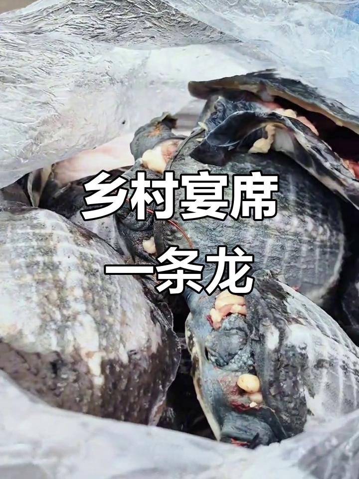 农村流水席菜谱大揭秘，包桌服务全流程解析